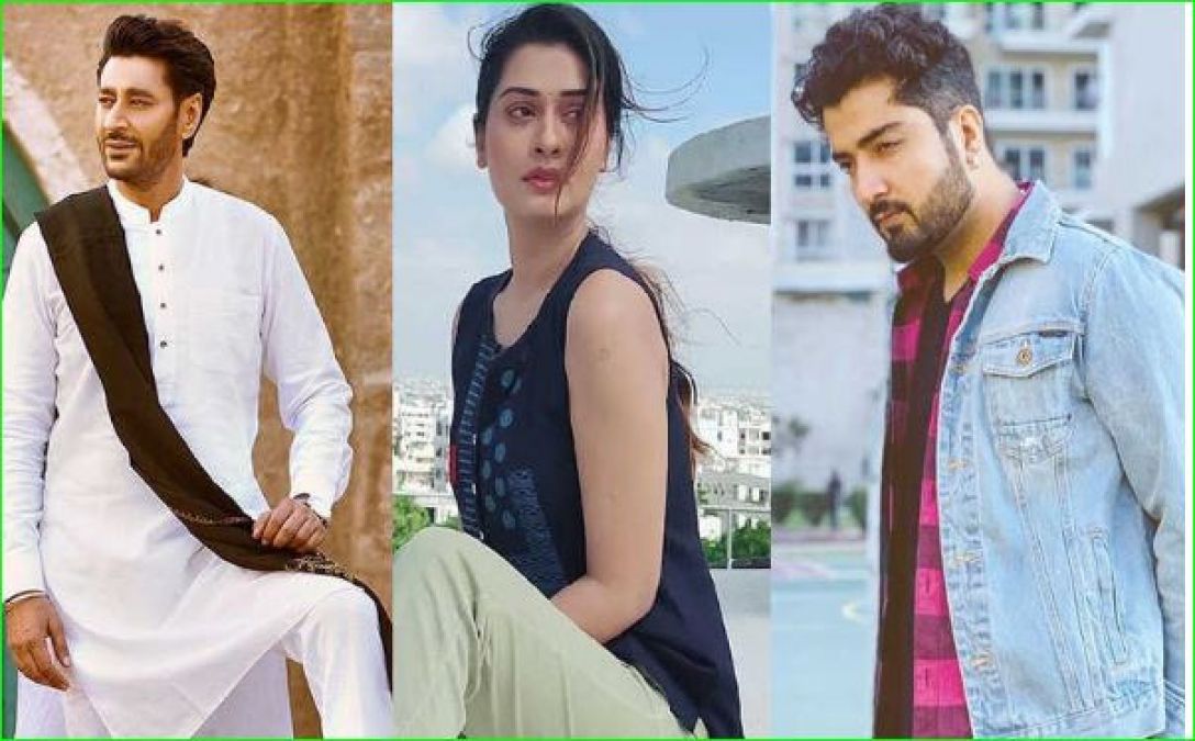Punjabi stars express their grief and demand justice for Priyanka Reddy