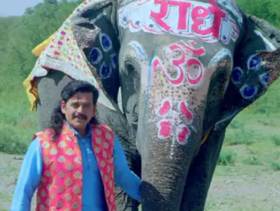 Bhojpuri superstar Ravi Kishan was seen caressing the elephant, enemies were seen running away!