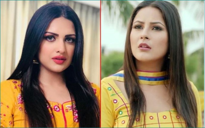 Himanshi Khurana tweets about Shahnaz Gill, fans tweets this ...