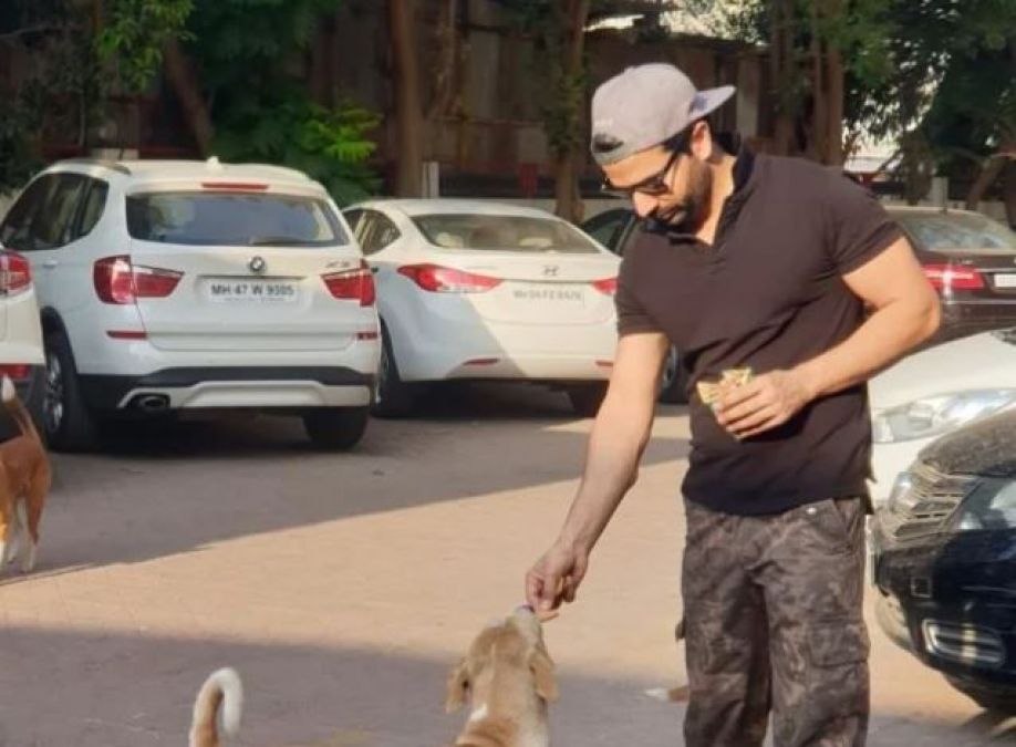 This actor feed stray dogs during corona lockdown