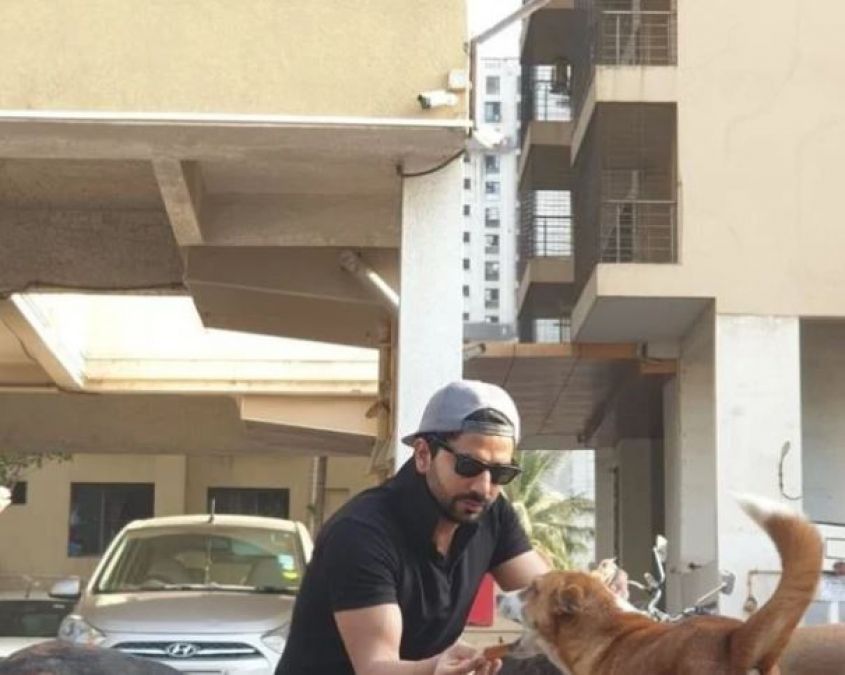 This actor feed stray dogs during corona lockdown