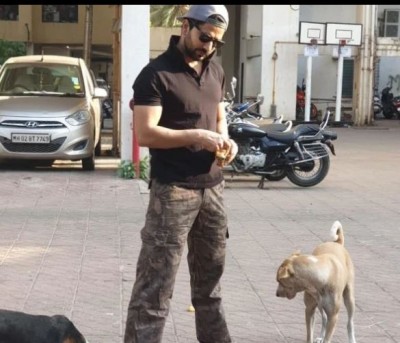 This actor feed stray dogs during corona lockdown