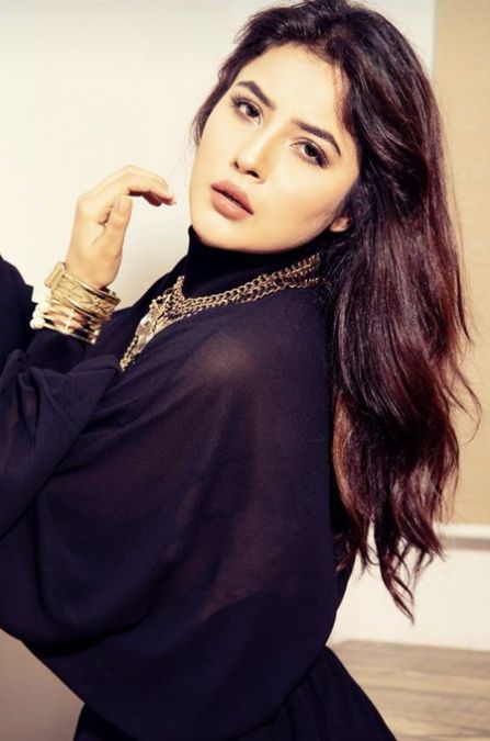 Katrina Kaif of Punjab seen in stunning look, fans went crazy after seeing photos