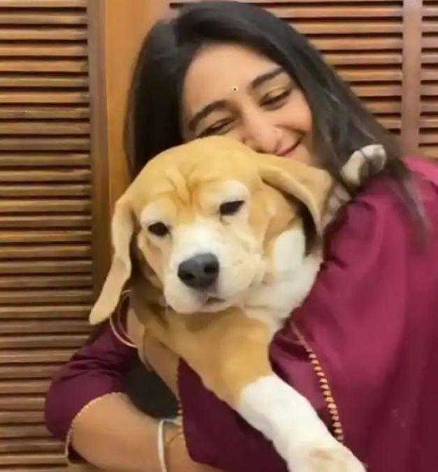 Mohena Kumari Singh celebrates her doggy bagels 6th birthday
