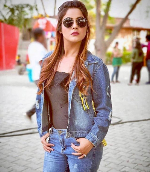 Shehnaaz Gill Beautiful look seen in blue outfit, see post