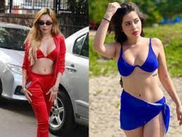Ramanand Sagar's great-granddaughter once again dominated the internet, trolls said - 'Urfi Javed's sister...'
