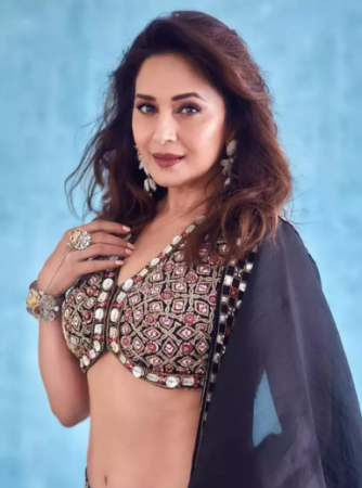 The Big Bang Theory had to comment against Madhuri heavily