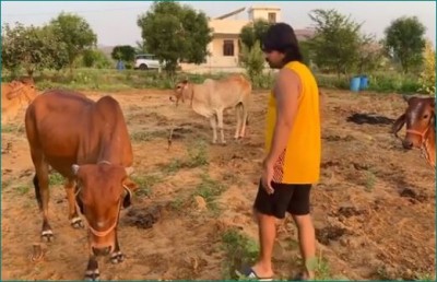 This actor started farming in the village with his father, pictures going viral