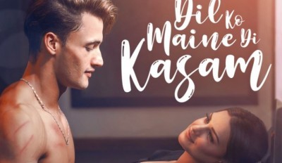 Asim and Himanshi's new song 'Dil Ko Maine Di Kasam' released, watch the stunning chemistry here