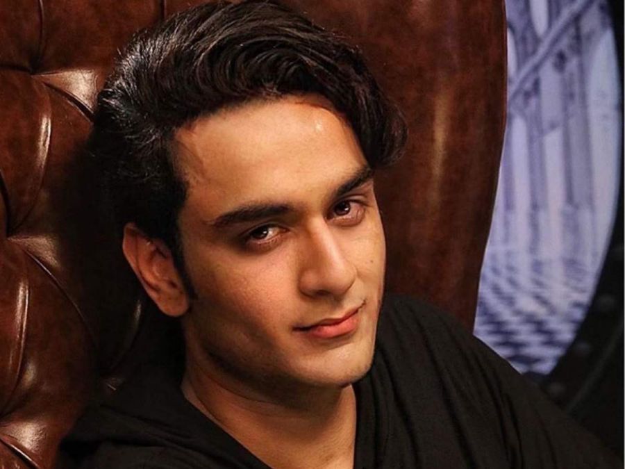 Vikas Gupta will be out of Bigg Boss house, Arshi Khan is the reason