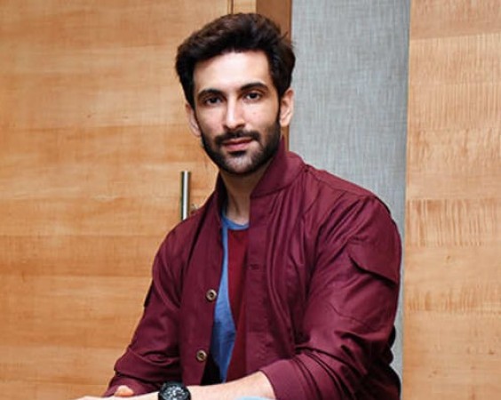 Nandish Sandhu became famous from house to house with these serials
