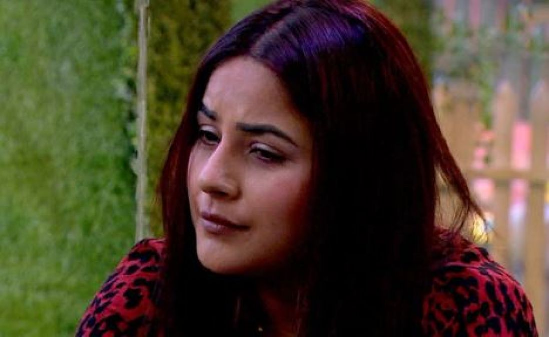 BB13: Due to this, Shehnaz punched on the wall, Asim tied the bandage