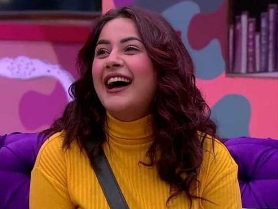 Bigg Boss 13: 'Muh Tod Doongi,' Shehnaaz Gill threatens Madhurima Tuli for oversleeping in the morning