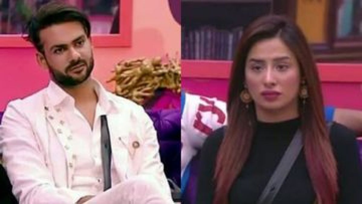 BB13: Vishal spoke against Mahira after evicted, says, 'She is the most toxic competitor...'