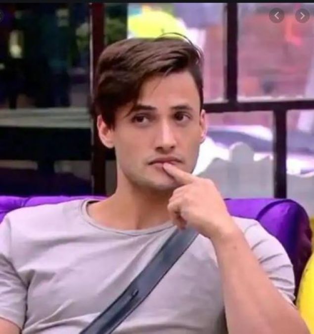 BB13: Asim Riaz becomes Himanshi's Majnu, wished Chocolate Day