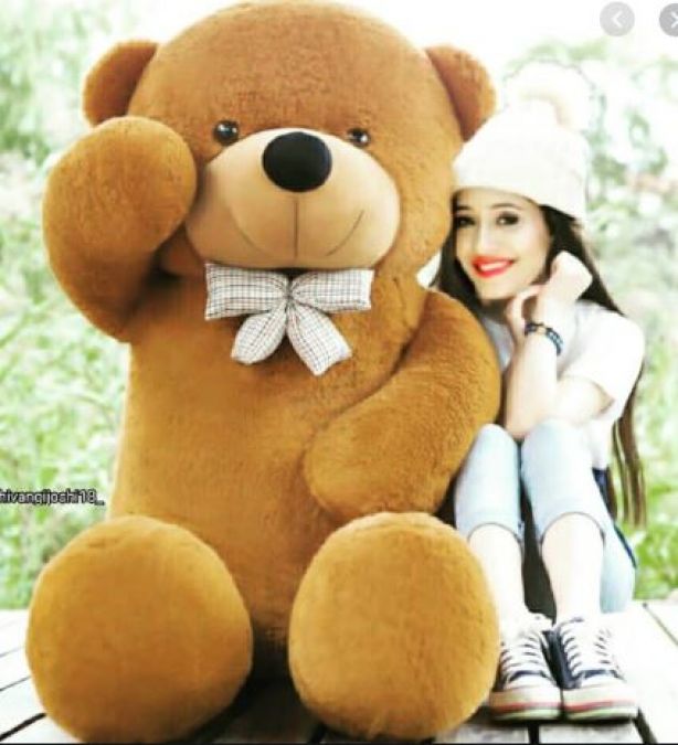 Shivangi Joshi aka Naira is in love with teddies, can not live single day without it