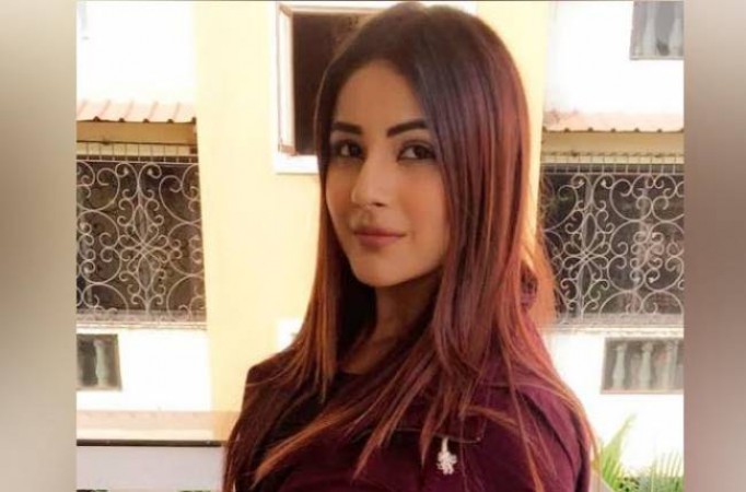 Shehnaz Gill will not marry in new show, real reason reveals
