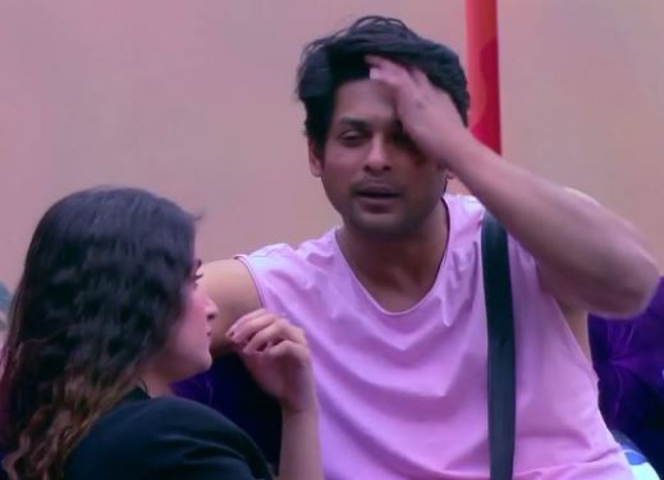 Bigg Boss13: Shefali opened many secrets as soon as she became homeless, called sycophant to Siddharth