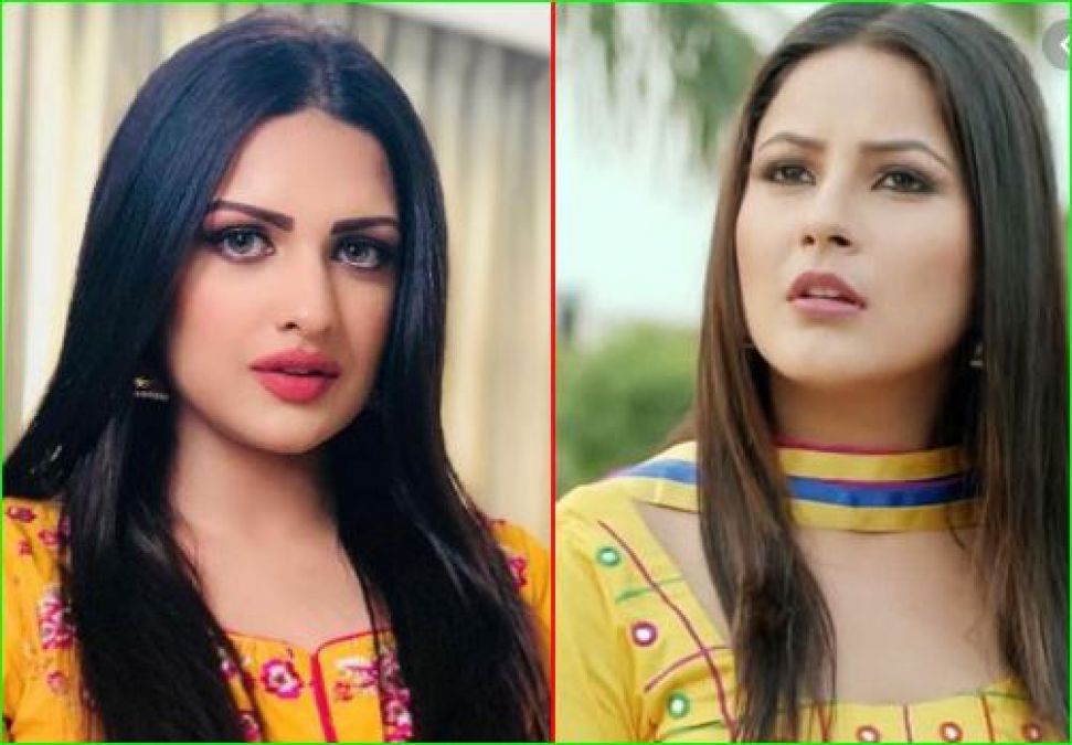 On seeing Shehnaz Gill's drama, Himanshi Khurana got angry, says- 