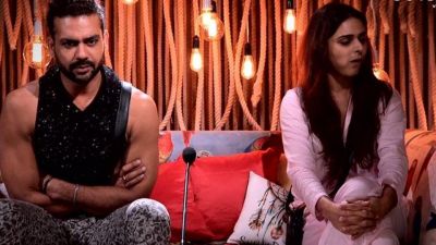 BB13: Vishal changes his decision to leave home, Know the reason