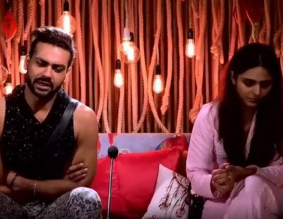 BB13: Apart from Madhurima Tuli, these members suffered for violence