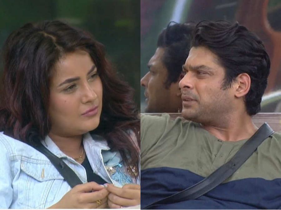 BB13: These contestants nominated for being evicted, these 2 contestants are safe