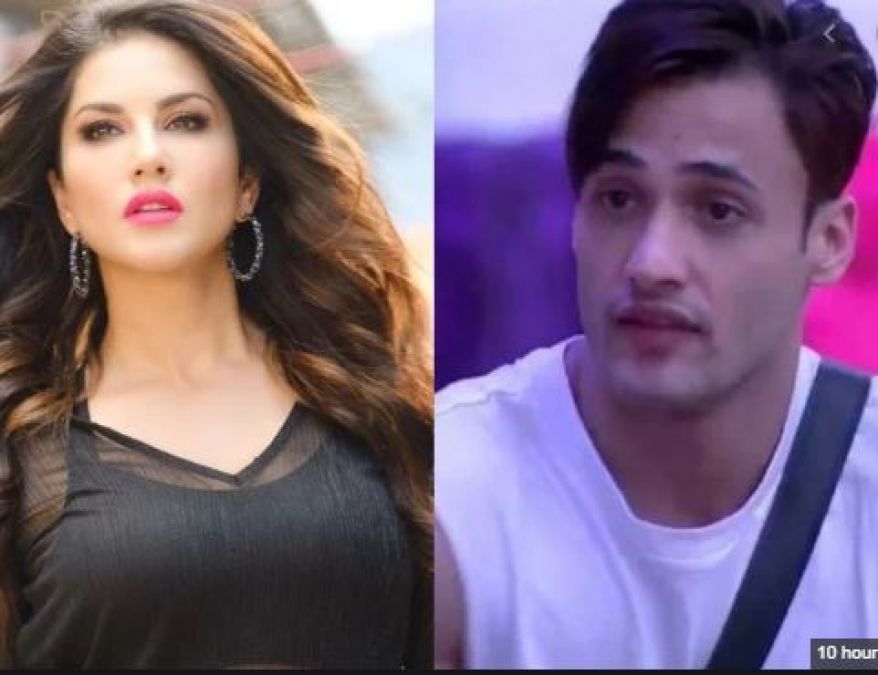 BB13: Asim Riaz can romance with Sunny Leone after Bigg Boss