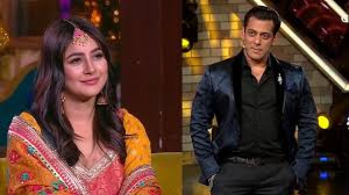 Shehnaaz Gill called herself 'Punjab's Katrina' in front of Salman, actor reacted like this