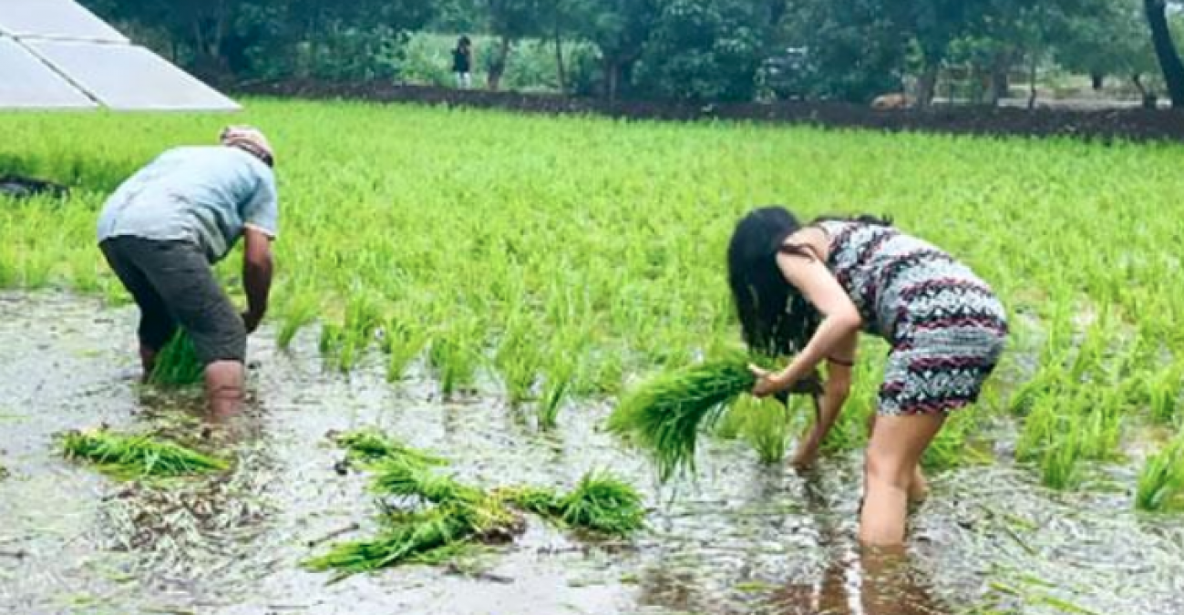 Shehnaaz spotted with farmers in the farm, fans can't believe watching video