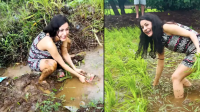 Shehnaaz spotted with farmers in the farm, fans can't believe watching video