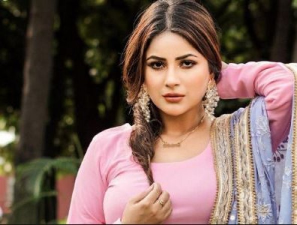 Siddharth Shukla reacted to Shahnaz Gill's new song 'Kurta Pajama'