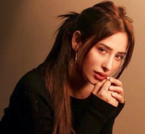 Mahira Sharma arrives at her home town for shooting, shared beautiful pictures