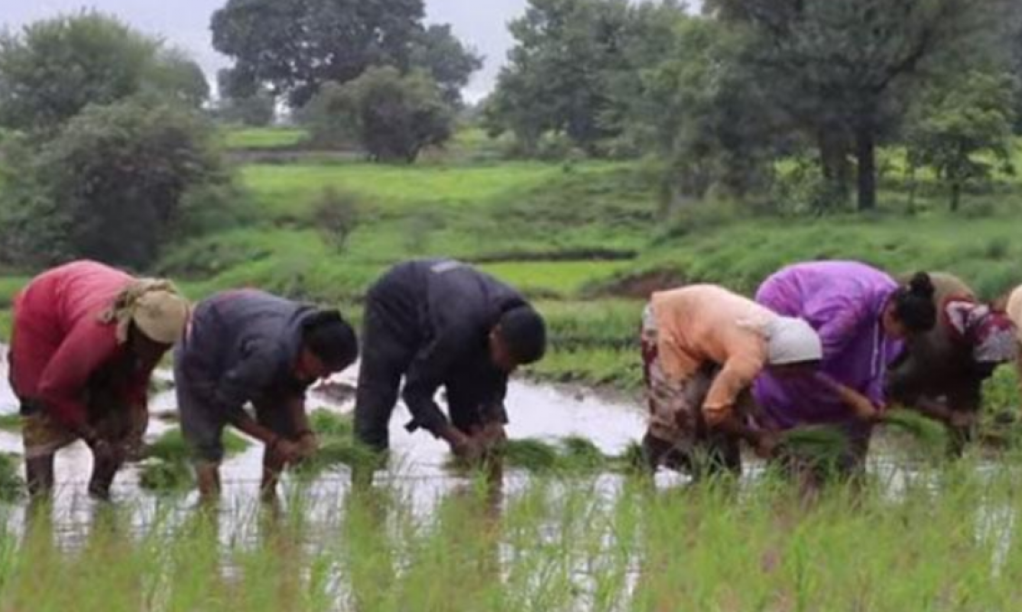 धान की खेती करती नजर आई ये मशहूर एक्ट्रेस, हाल देखकर नहीं होगा यकीन