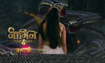 Naagin 4 to go on-air on this day; this actress replaces Hina Khan!