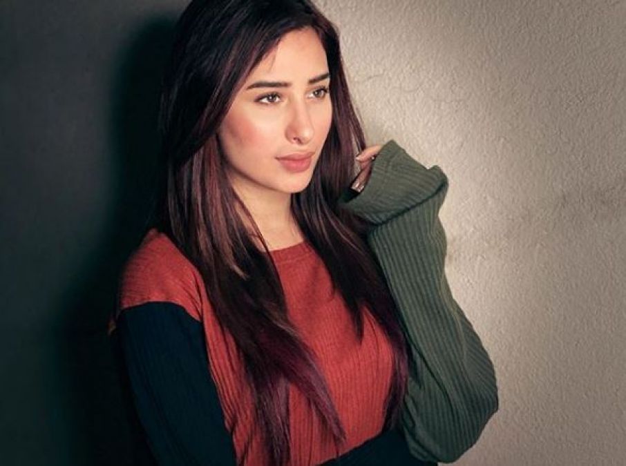 Mahira Sharma can work with this Punjabi singer