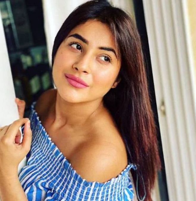 Questions raised on Shehnaaz Gill's English captions