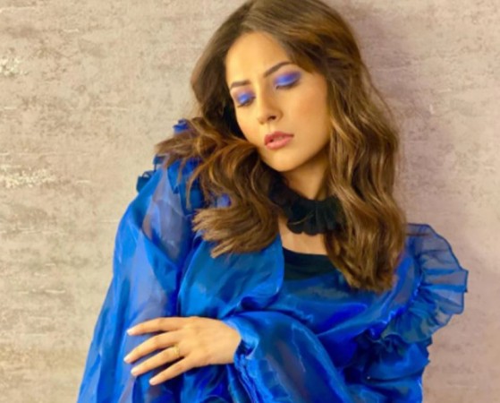 Shehnaaz Gill's look in blue outfit with matching makeup, see post
