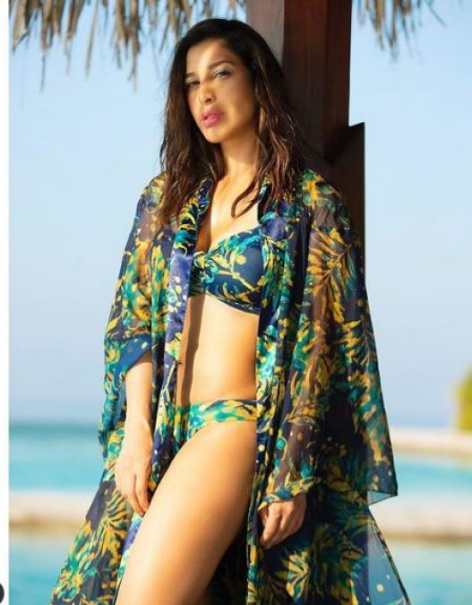 This Big Boss contestant looked extremely hot in her new Bikini photos