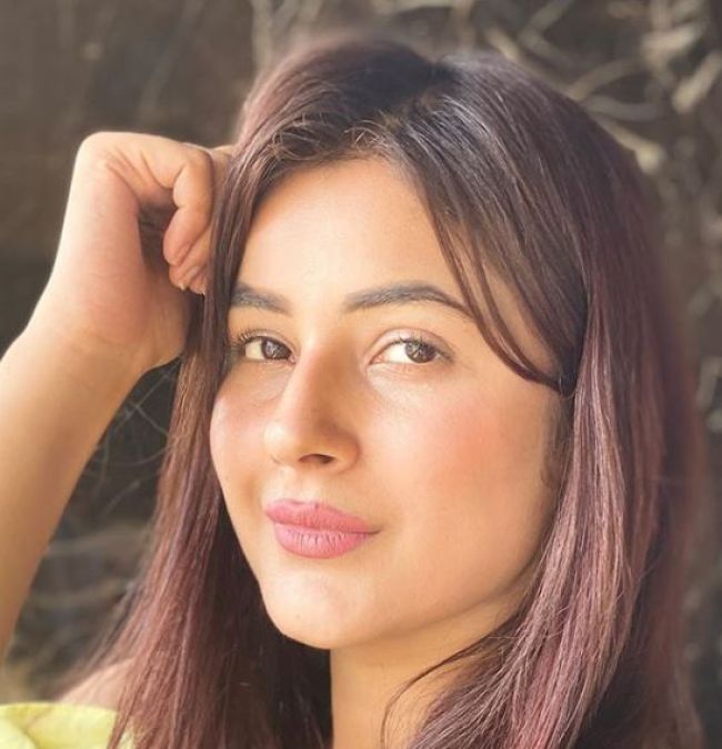 Shehnaz Gill no longer considers herself as Katrina Kaif of Punjab