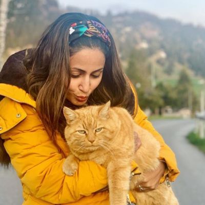 In a photo shared by Hina Khan with the cat, Fans said: 'Cat is cuter....