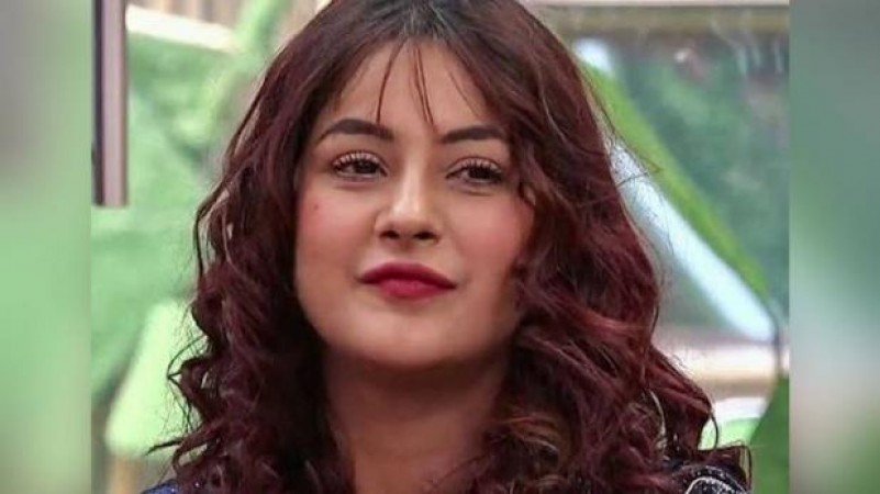 This ex-contestant mocks Shehnaaz Gill, shared this video