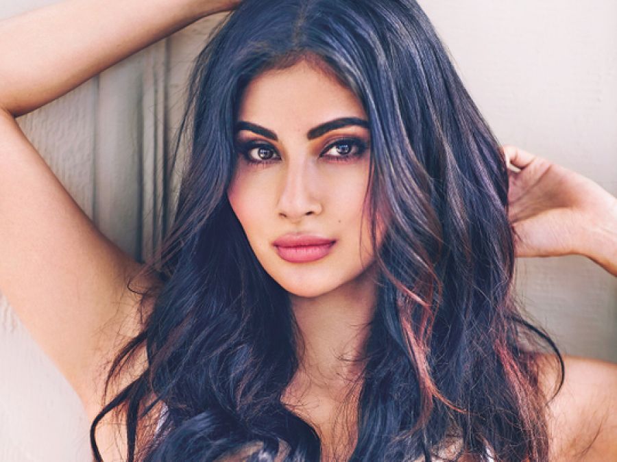 Mouni Roy meets this great personality, shares the photo
