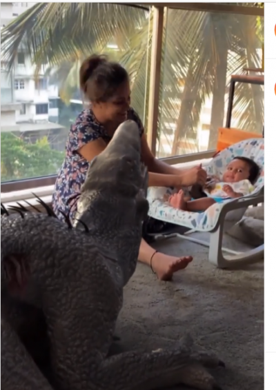 Anita Hassanandani playing with son and dinosaur, video goes viral