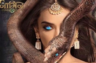 This actress of Naagin will be seen in Bigg Boss 14