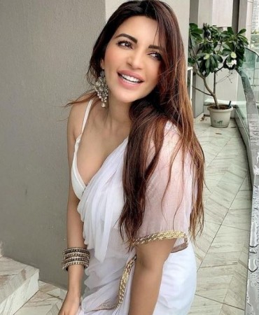 Fans crazy to see this great picture of Shama Sikander