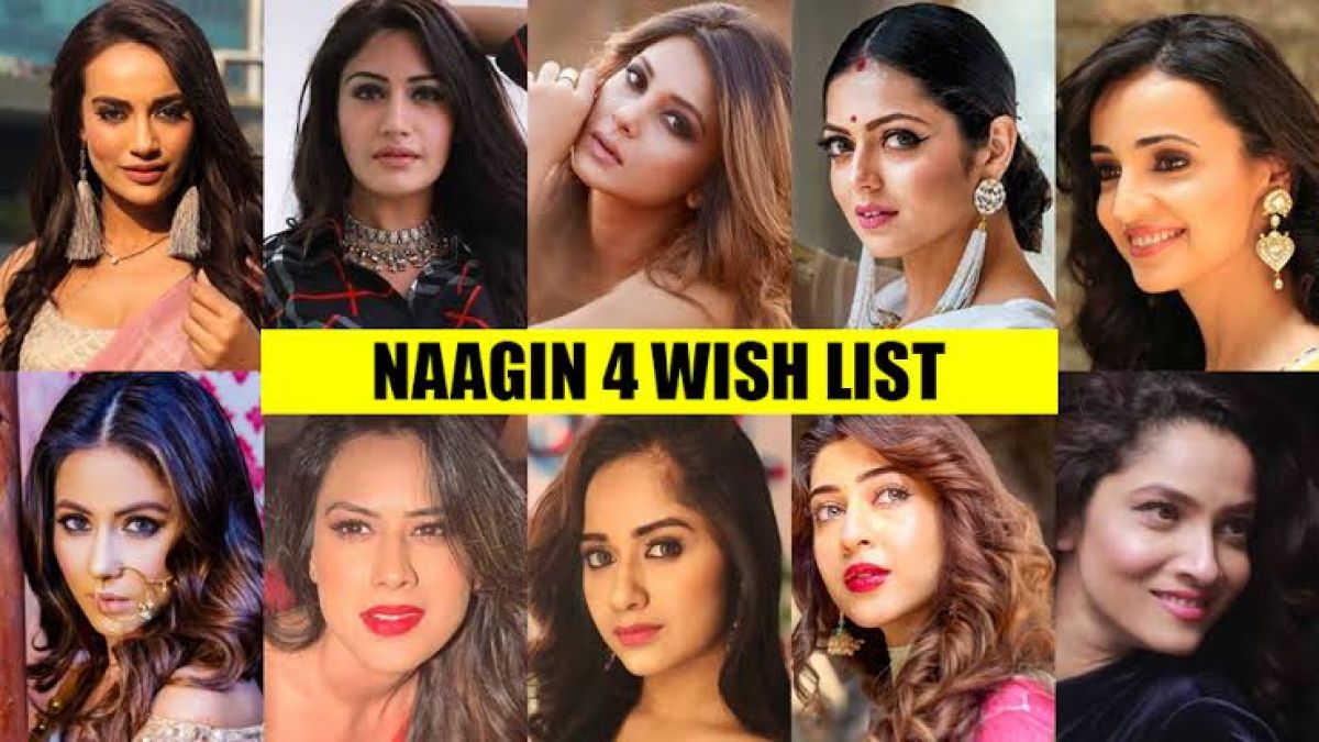 This actress refused to work in 'Naagin 4'