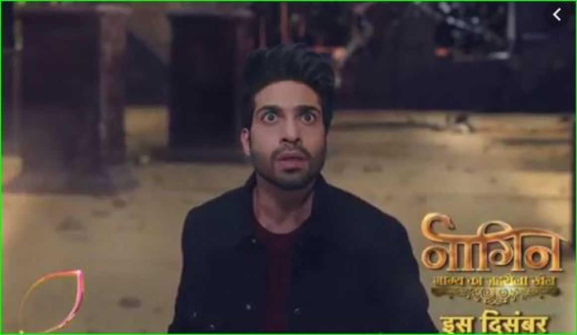 The first promo of Naagin 4 surfaced, the curtain rose from the face of the male star