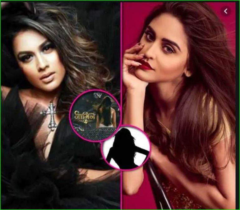 These actresses may play a lead role in 'Naagin 4', show will take so long to start