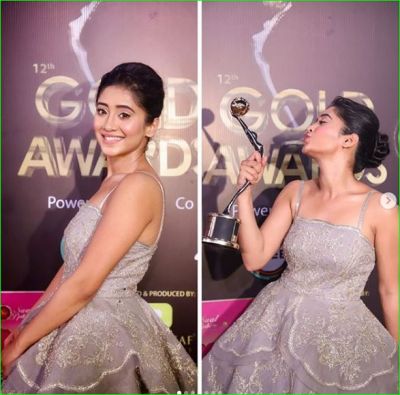 Naira looks very beautiful in a silver shimmery dress, won Best Actor Female Award