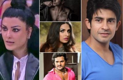 These stars can have a wild card entry in Bigg Boss 13